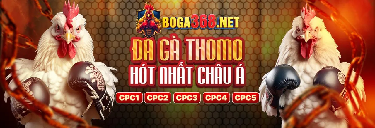 Sân vận động thể thao sôi động của rich888 casino