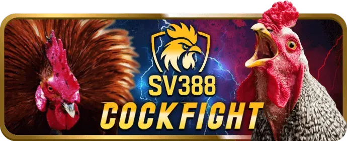 Dịch vụ hỗ trợ khách hàng 24/7 của rich888 casino