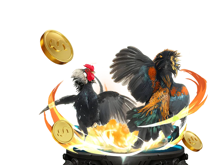 Giao diện nền tảng rich888 casino
